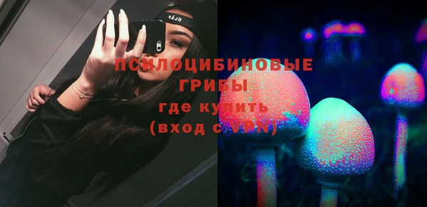 гидра Россошь