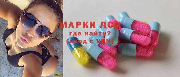 шишки Арсеньев
