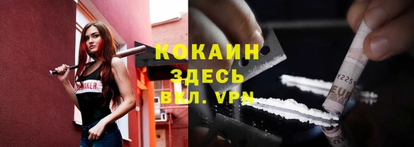 шишки Арсеньев