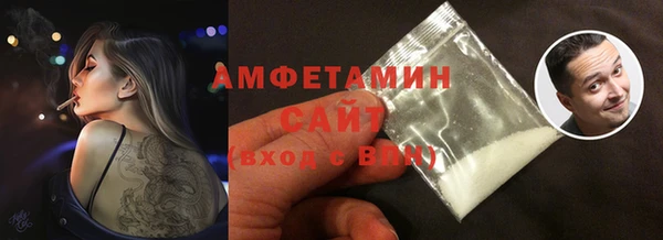шишки Арсеньев