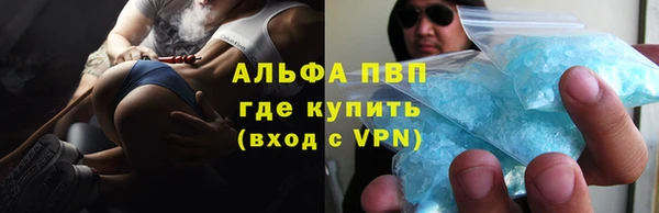 шишки Арсеньев