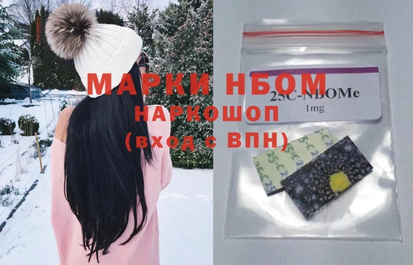 шишки Арсеньев