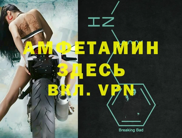 шишки Арсеньев
