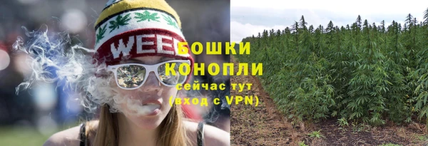 шишки Арсеньев