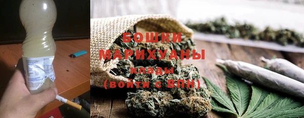 шишки Арсеньев